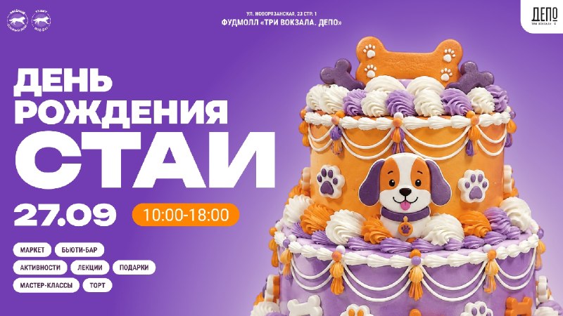 День рождения стаи