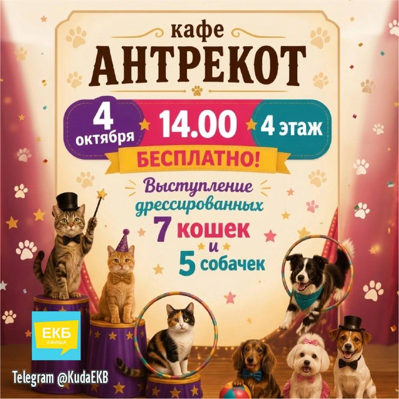 Шоу животных Кафе Антрекот