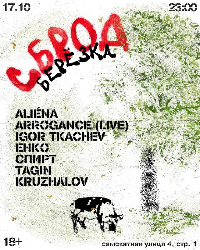 Sbrod 026: Берёзка