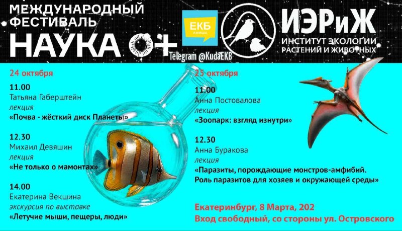 Фестиваль науки NAUKA 0+: лекции и экскурсии