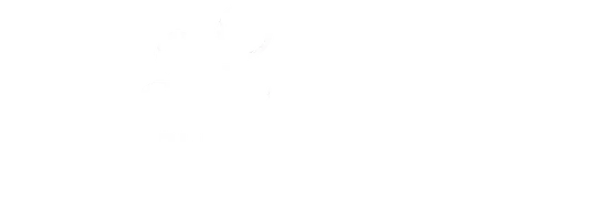 Фестиваль традиционной казачьей культуры «Александровская крепость»