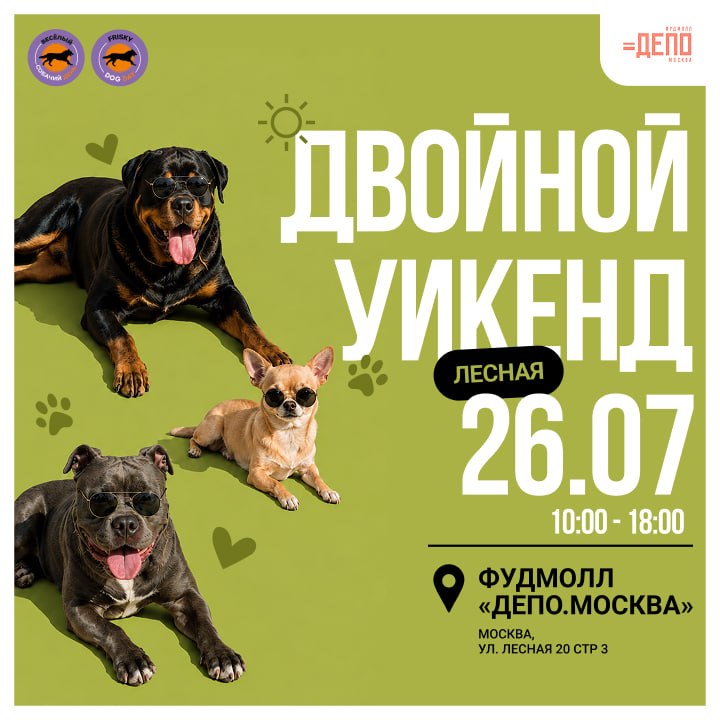 Веселый собачий день