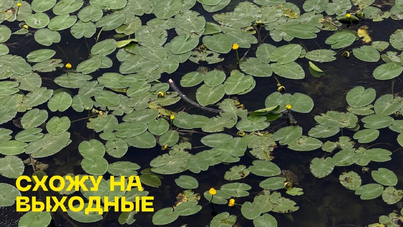 Футбол на крыше в Playground