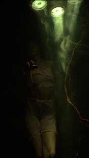 Synesthesia: Ectogenesis