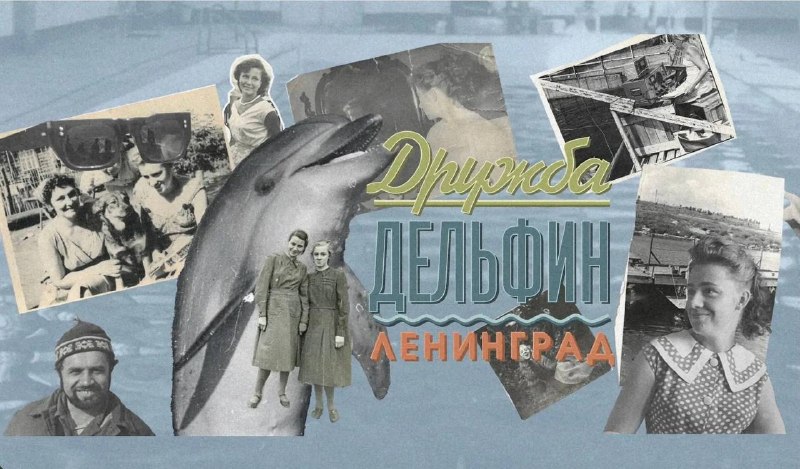 Дружба, дельфин, Ленинград