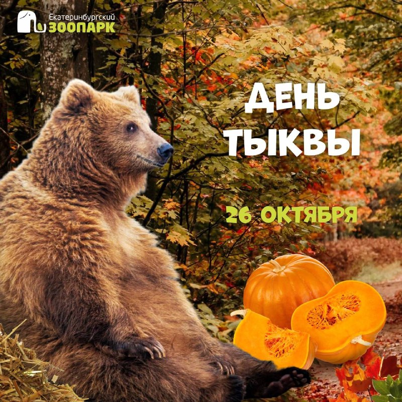 День тыквы в Екатеринбургском зоопарке