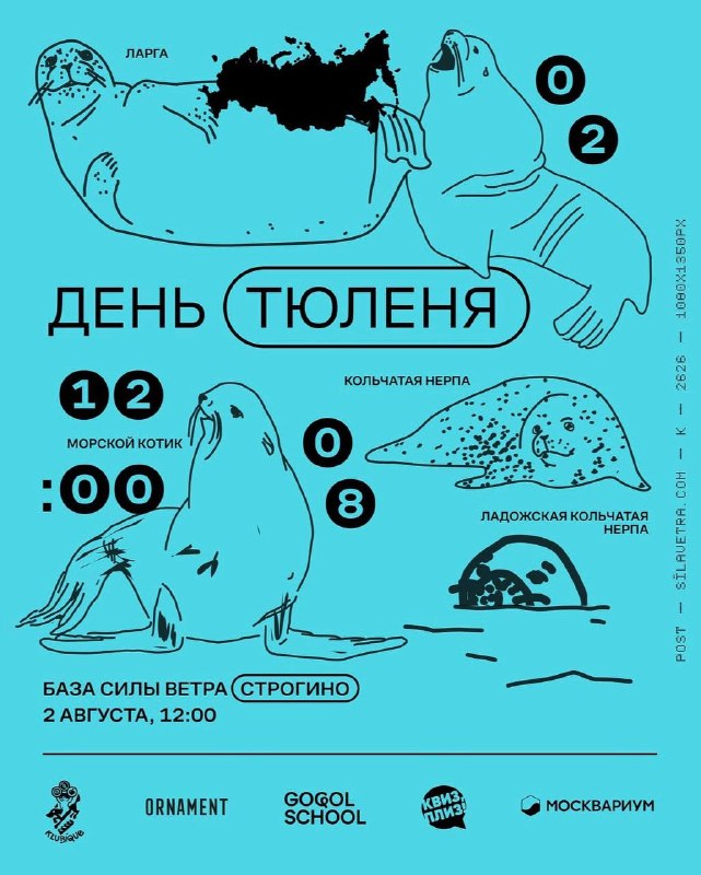 День тюленя