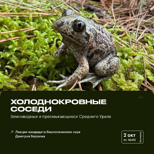 Земноводные и пресмыкающиеся Среднего Урала
