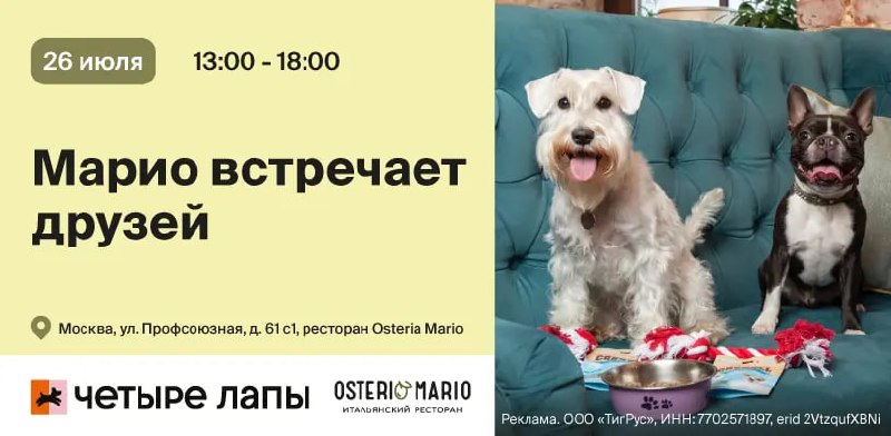 Пет-вечеринка